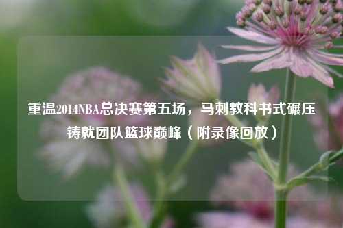 重温2014NBA总决赛第五场，马刺教科书式碾压铸就团队篮球巅峰（附录像回放）