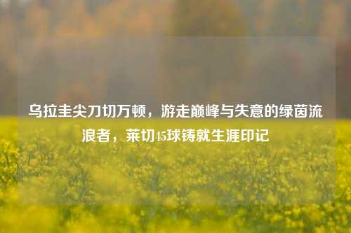 乌拉圭尖刀切万顿，游走巅峰与失意的绿茵流浪者，莱切45球铸就生涯印记