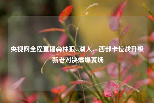央视网全程直播森林狼vs湖人，西部卡位战升级 新老对决燃爆赛场