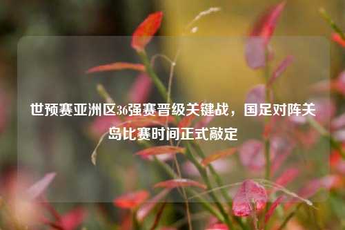 世预赛亚洲区36强赛晋级关键战，国足对阵关岛比赛时间正式敲定