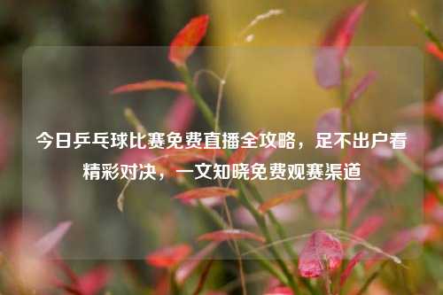 今日乒乓球比赛免费直播全攻略,足不出户看精彩对决,一文知晓免费观赛渠道
