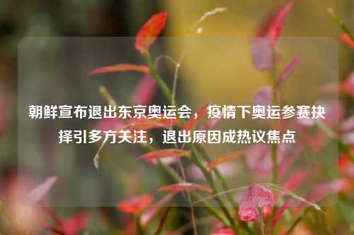 朝鲜宣布退出东京奥运会，疫情下奥运参赛抉择引多方关注，退出原因成热议焦点