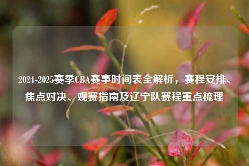 2024-2025赛季CBA赛事时间表全解析，赛程安排、焦点对决、观赛指南及辽宁队赛程重点梳理