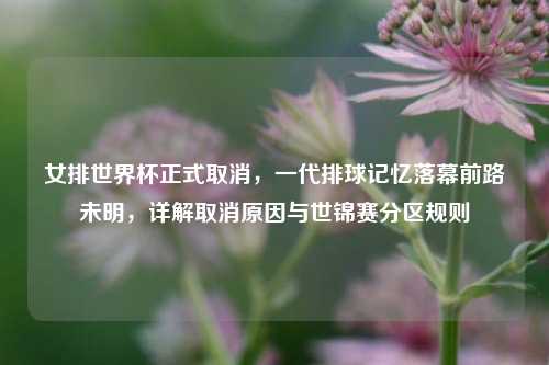 女排世界杯正式取消，一代排球记忆落幕前路未明，详解取消原因与世锦赛分区规则