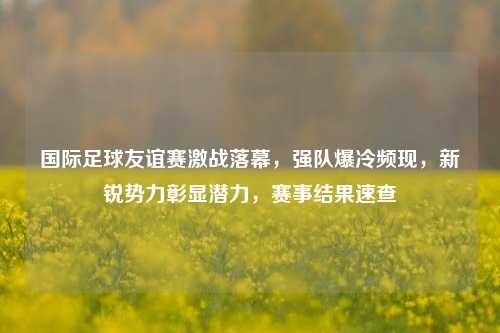 国际足球友谊赛激战落幕，强队爆冷频现，新锐势力彰显潜力，赛事结果速查