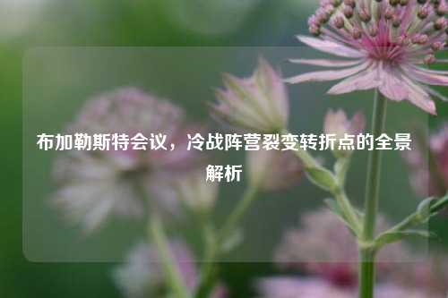 布加勒斯特会议，冷战阵营裂变转折点的全景解析