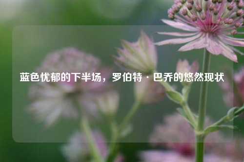 蓝色忧郁的下半场，罗伯特·巴乔的悠然现状