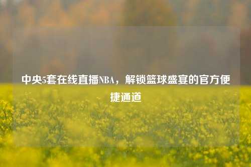 中央5套在线直播NBA,解锁篮球盛宴的官方便捷通道