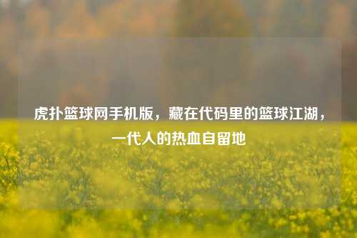 虎扑篮球网手机版，藏在代码里的篮球江湖，一代人的热血自留地