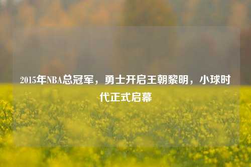 2015年NBA总冠军，勇士开启王朝黎明，小球时代正式启幕