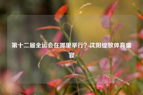 第十二届全运会在哪里举行？沈阳绽放体育盛宴