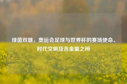 绿茵双雄,奥运会足球与世界杯的赛场使命、时代交响及含金量之辨