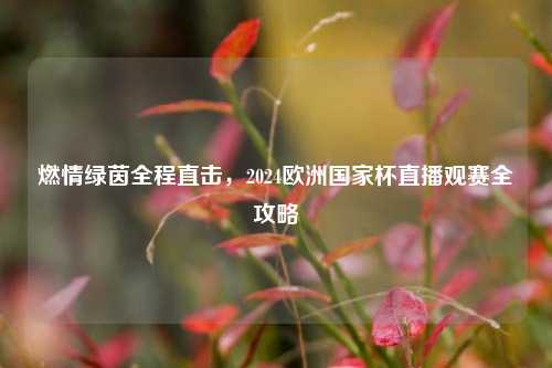 燃情绿茵全程直击,2024欧洲国家杯直播观赛全攻略