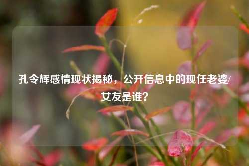 孔令辉感情现状揭秘，公开信息中的现任老婆/女友是谁？