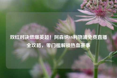 双红对决燃爆英超!阿森纳VS利物浦免费直播全攻略,零门槛解锁热血赛事