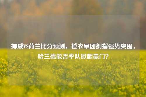 挪威VS荷兰比分预测,橙衣军团剑指强势突围,哈兰德能否率队掀翻豪门?
