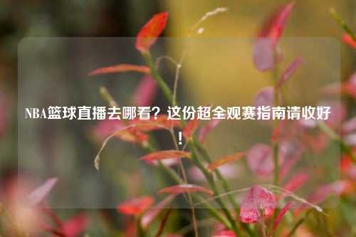 NBA篮球直播去哪看?这份超全观赛指南请收好!