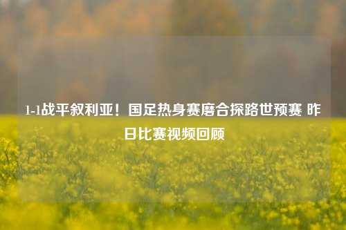 1-1战平叙利亚！国足热身赛磨合探路世预赛 昨日比赛视频回顾