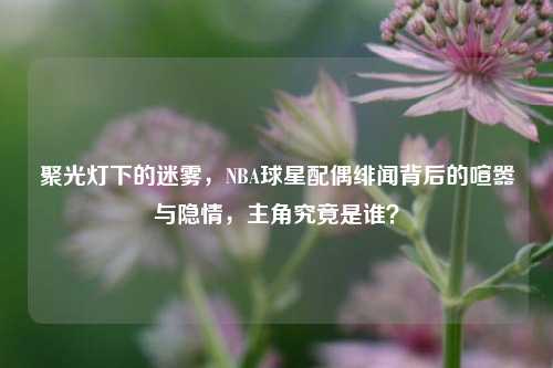聚光灯下的迷雾，NBA球星配偶绯闻背后的喧嚣与隐情，主角究竟是谁？