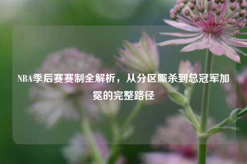 NBA季后赛赛制全解析，从分区厮杀到总冠军加冕的完整路径