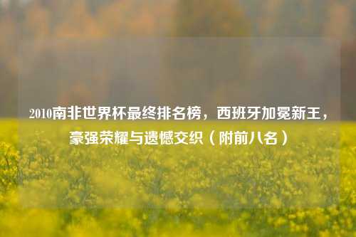 2010南非世界杯最终排名榜，西班牙加冕新王，豪强荣耀与遗憾交织（附前八名）