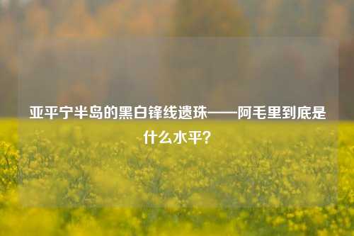 亚平宁半岛的黑白锋线遗珠——阿毛里到底是什么水平？