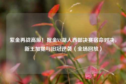 紫金再战高原！掘金VS湖人西部决赛宿命对决，新王加冕与旧冠逆袭（全场回放）