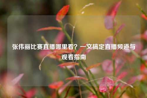 张伟丽比赛直播哪里看?一文搞定直播频道与观看指南