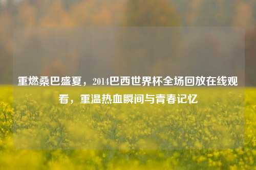 重燃桑巴盛夏,2014巴西世界杯全场回放在线观看,重温热血瞬间与青春记忆