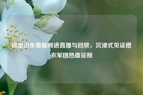 锁定山东鲁能频道直播与回放，沉浸式见证橙衣军团热血征程