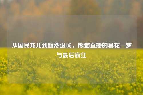 从国民宠儿到黯然退场，熊猫直播的昙花一梦与最后疯狂