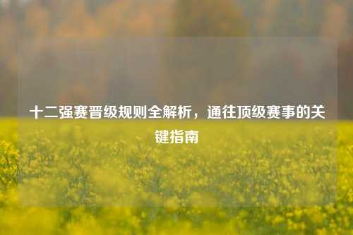 十二强赛晋级规则全解析，通往顶级赛事的关键指南