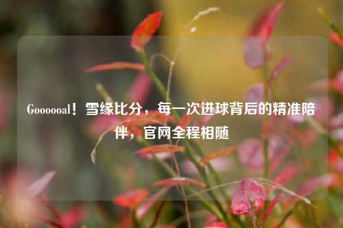 Goooooal！雪缘比分，每一次进球背后的精准陪伴，官网全程相随