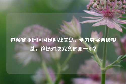世预赛亚洲区国足迎战关岛，全力夯实晋级根基，这场对决究竟是哪一年？