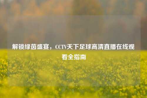 解锁绿茵盛宴，CCTV天下足球高清直播在线观看全指南