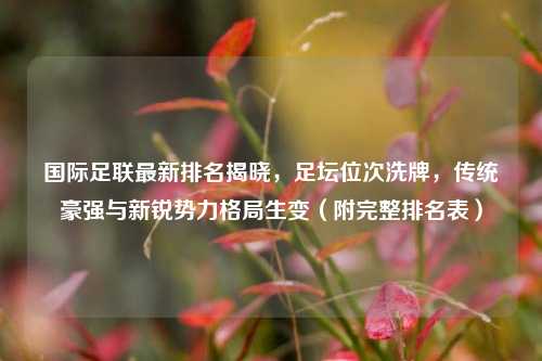 国际足联最新排名揭晓，足坛位次洗牌，传统豪强与新锐势力格局生变（附完整排名表）