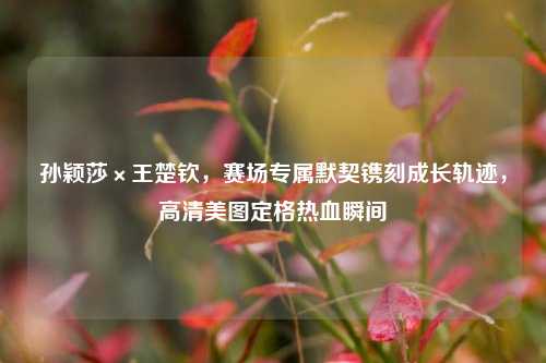 孙颖莎×王楚钦，赛场专属默契镌刻成长轨迹，高清美图定格热血瞬间
