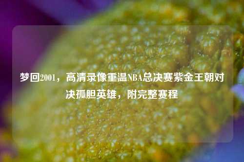 梦回2001，高清录像重温NBA总决赛紫金王朝对决孤胆英雄，附完整赛程