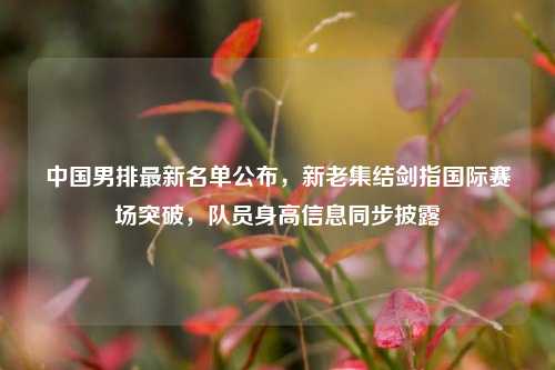 中国男排最新名单公布，新老集结剑指国际赛场突破，队员身高信息同步披露