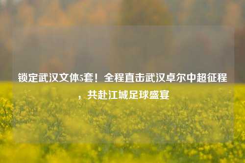 锁定武汉文体5套！全程直击武汉卓尔中超征程，共赴江城足球盛宴