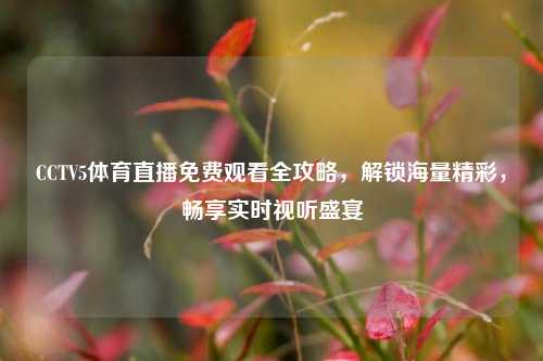 CCTV5体育直播免费观看全攻略，解锁海量精彩，畅享实时视听盛宴
