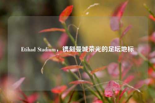Etihad Stadium，镌刻曼城荣光的足坛地标