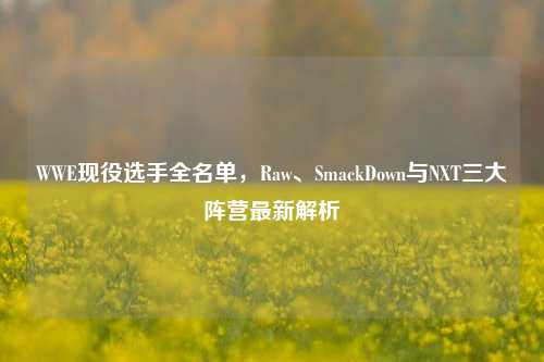 WWE现役选手全名单，Raw、SmackDown与NXT三大阵营最新解析