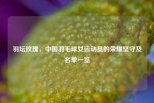 羽坛玫瑰，中国羽毛球女运动员的荣耀坚守及名单一览