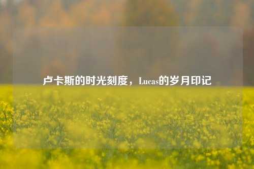 卢卡斯的时光刻度，Lucas的岁月印记