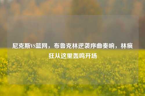 尼克斯VS篮网，布鲁克林逆袭序曲奏响，林疯狂从这里轰鸣开场