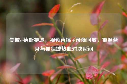 曼城vs莱斯特城,视频直播+录像回放,重温蓝月与狐狸城热血对决瞬间