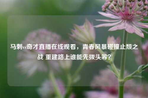 马刺vs奇才直播在线观看,青春风暴碰撞止颓之战 重建路上谁能先拔头筹?