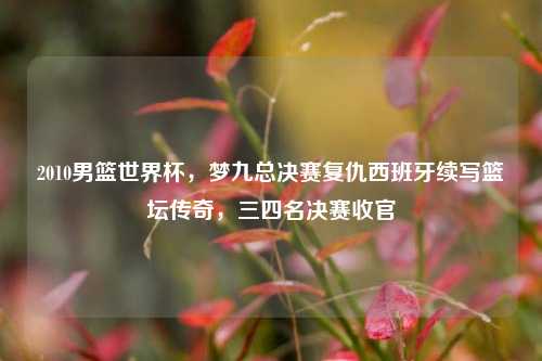 2010男篮世界杯，梦九总决赛复仇西班牙续写篮坛传奇，三四名决赛收官