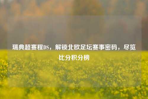 瑞典超赛程DS，解锁北欧足坛赛事密码，尽览比分积分榜